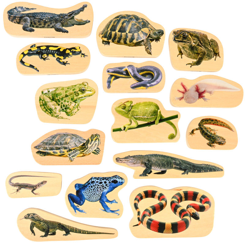Wooden Reptile & Amphibian Blocks - Set of 15