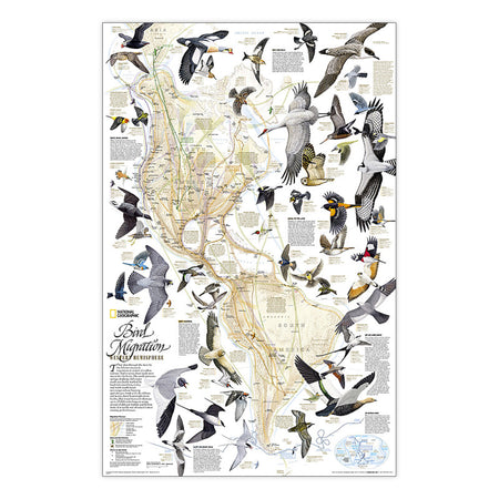 Bird Migration, Western Hemisphere Map, Laminated, 20.25" x 31.25"