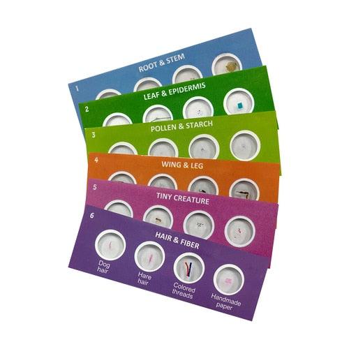 Scout™ Microscope Prepared Specimen Slides – Gramco School Supplies