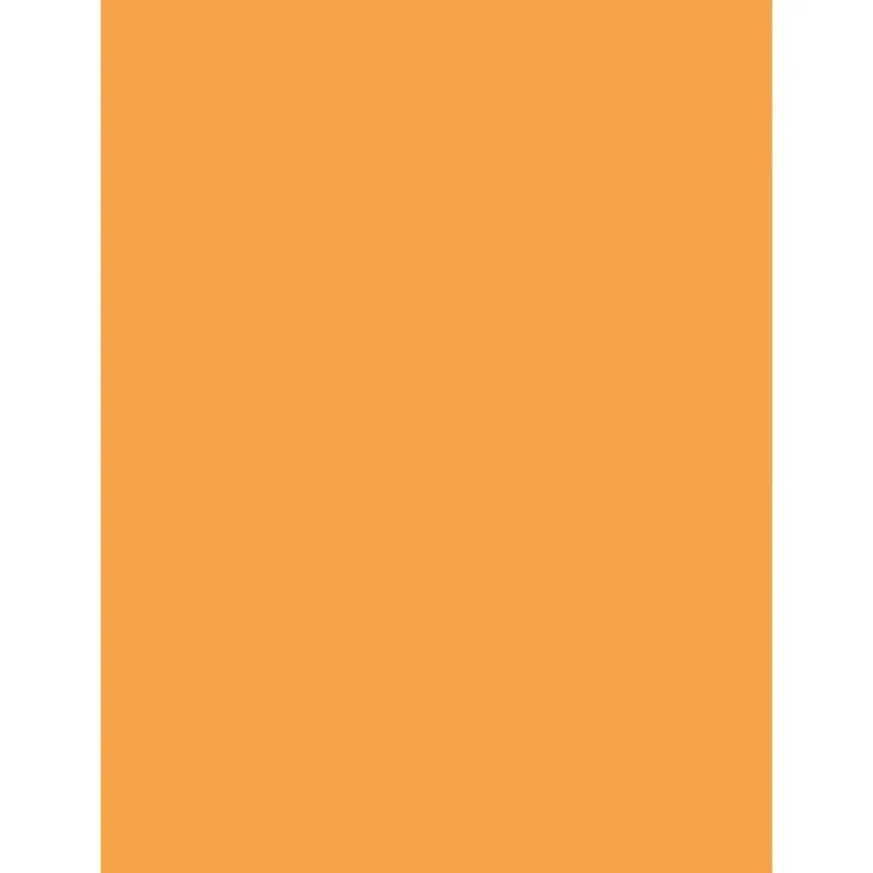 Multi-Purpose Paper, Hyper Orange, 8-1/2" x 11", 500 Sheets
