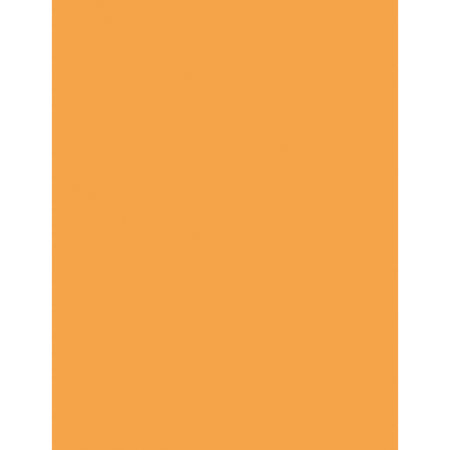 Multi-Purpose Paper, Hyper Orange, 8-1/2" x 11", 500 Sheets