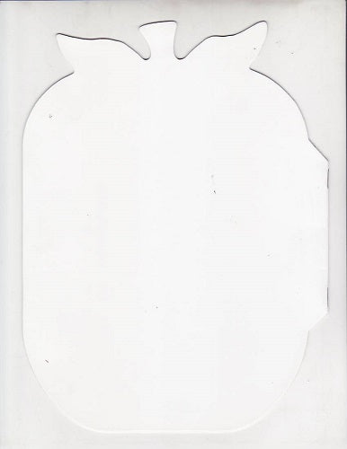 Blank Book Apple/Pumpkin 16 Pages 7" X 10" - 12/pkg