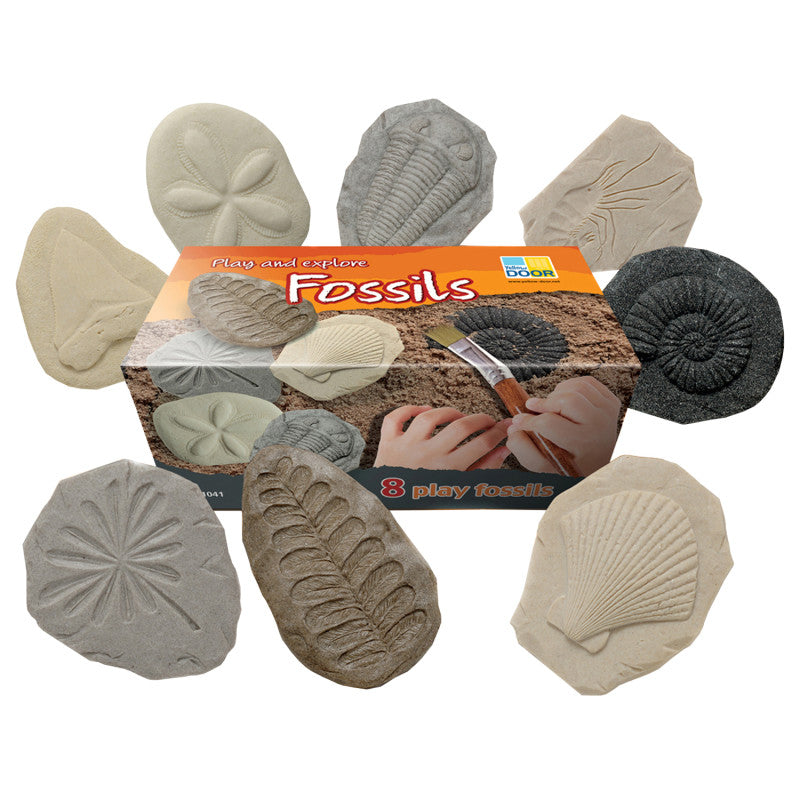 Let's Investigate Fossil Stone, Pack of 8
