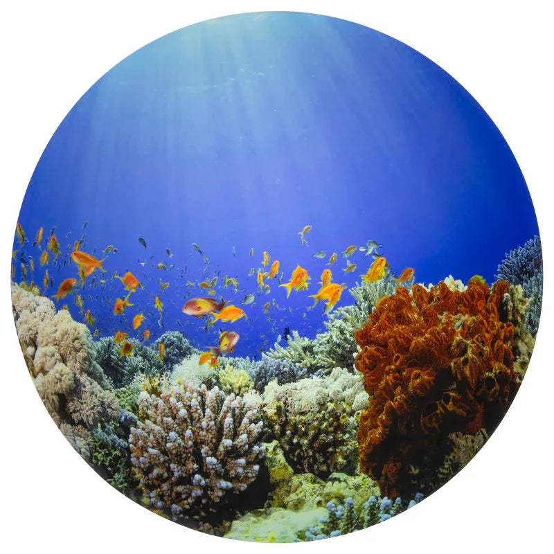 Under the Sea Discovery Play Mat