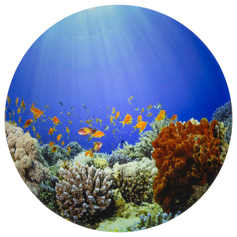 Under the Sea Discovery Play Mat