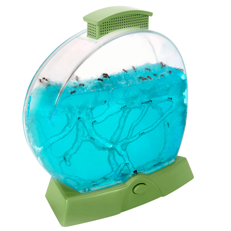 Geosafari&reg; Day 'N' Night Ant Farm