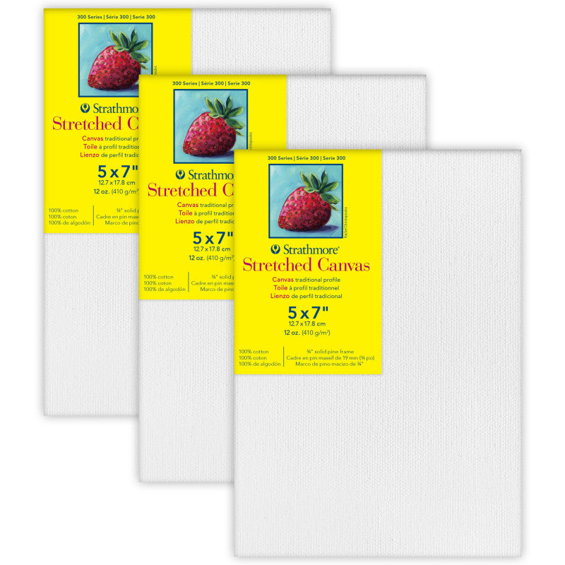 300 Series Traditional Stretched Canvas, 5x7 inch, Pack of 3