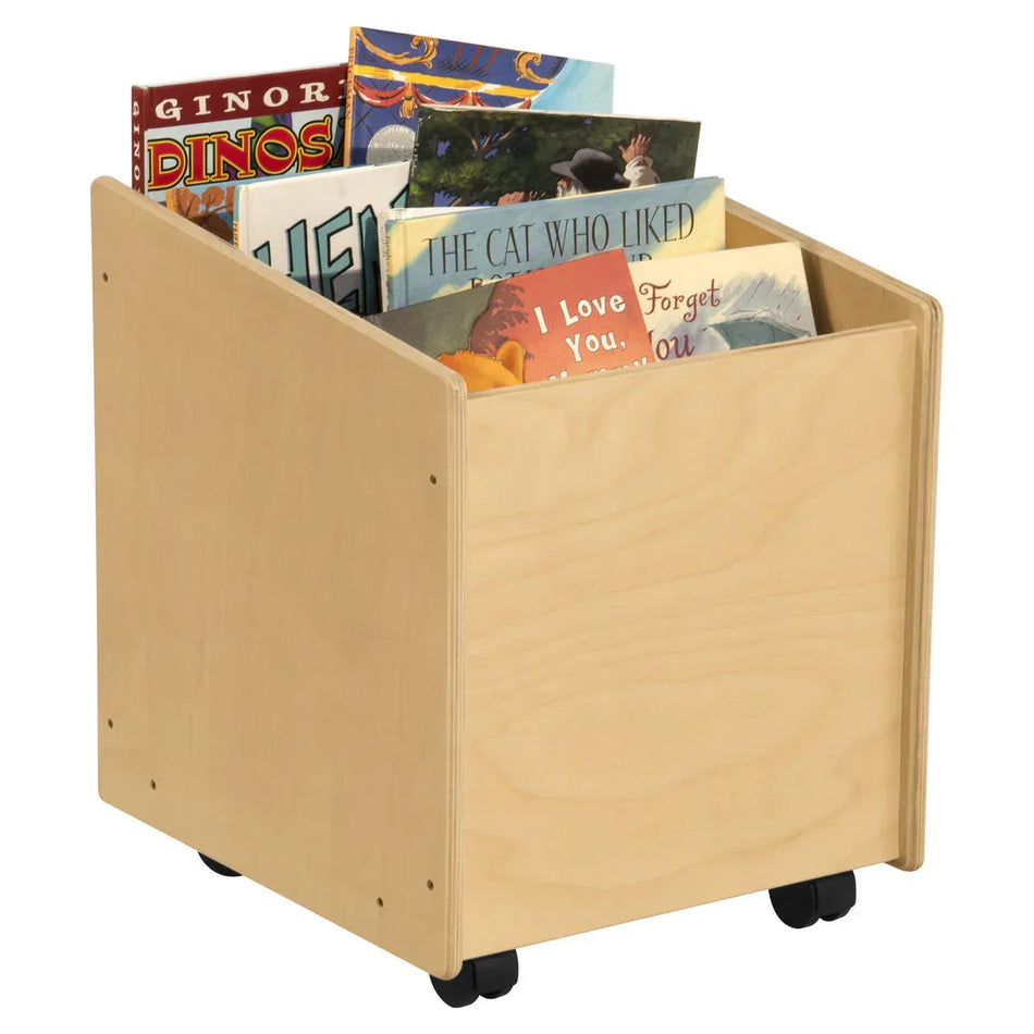 Big Book Storage Cart