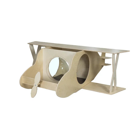 BiPlane Reading and Play Cube