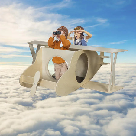 BiPlane Reading and Play Cube