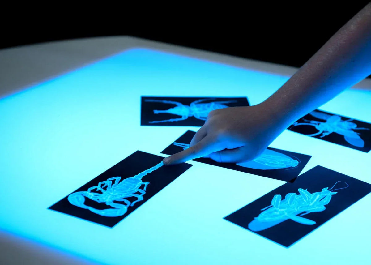 30" Brilliant Light Table with Storage