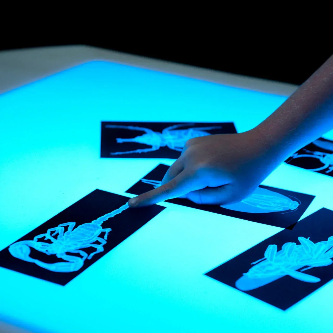 Contender 30" Brilliant Light Table without Storage-Assembled