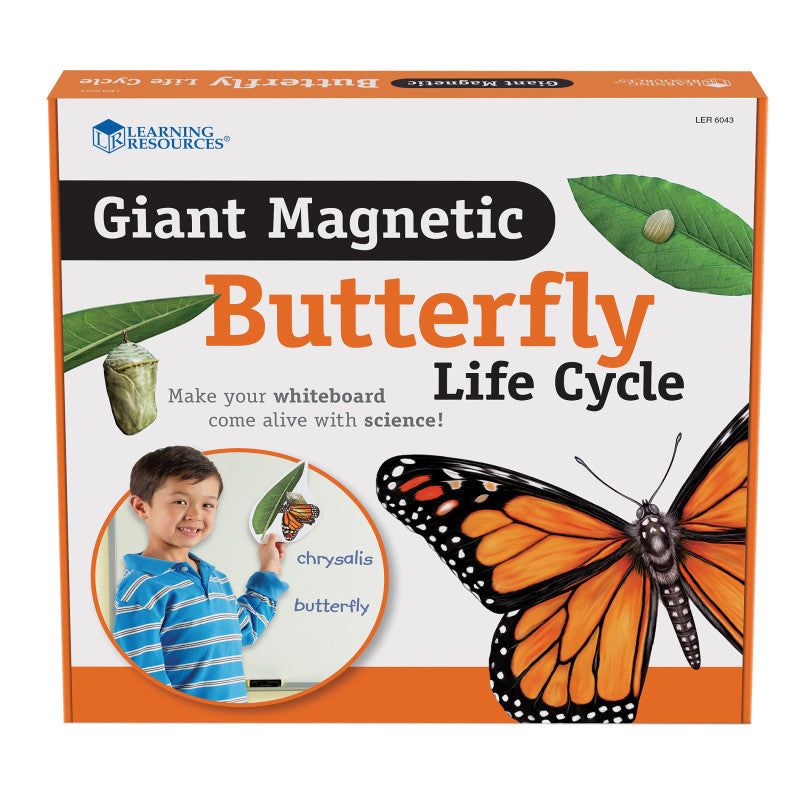 Giant Magnetic Butterfly Life Cycle, Set of 9