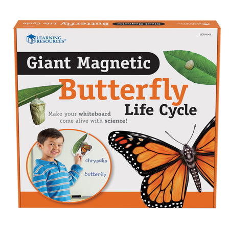 Giant Magnetic Butterfly Life Cycle, Set of 9
