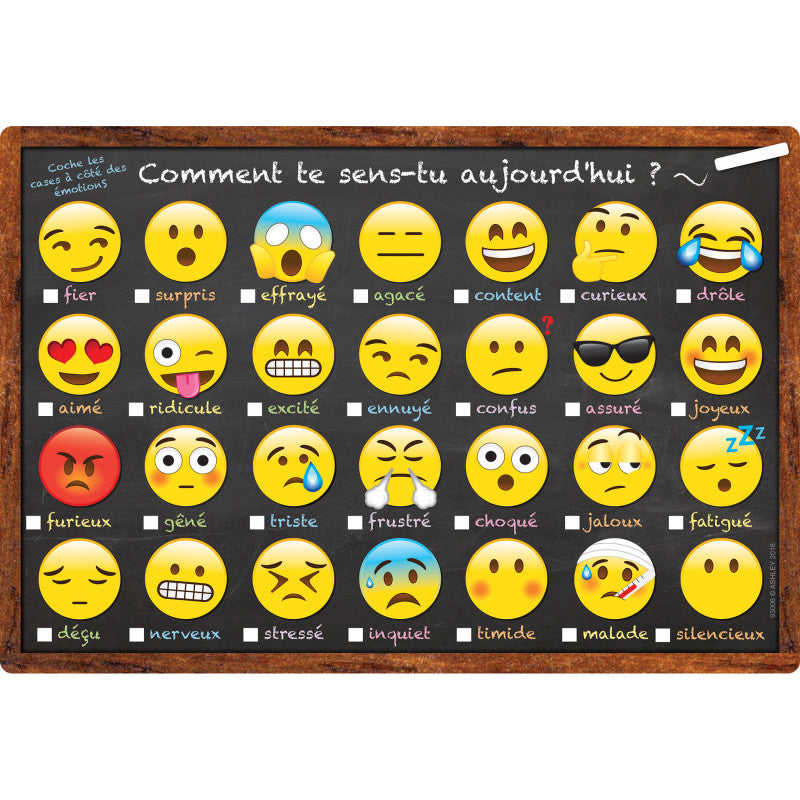 Smart Poly&trade; French Immersion Chart, 13" x 19", Emotions Icon, Comment te sens-tu aujourd'hui ? (How Are You Feeling Today?)