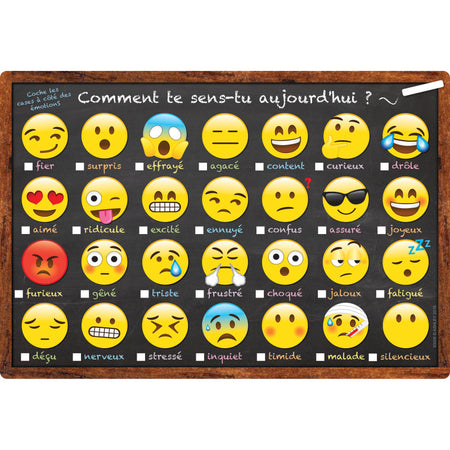 Smart Poly&trade; French Immersion Chart, 13" x 19", Emotions Icon, Comment te sens-tu aujourd'hui ? (How Are You Feeling Today?)