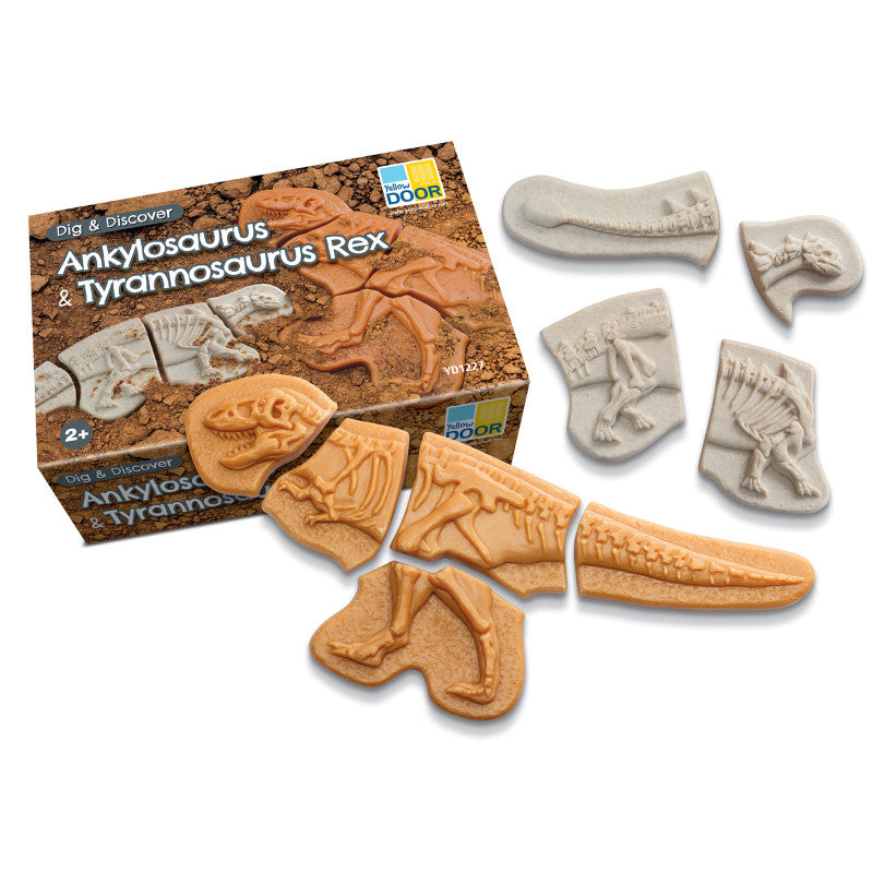 Dig and Discover - Ankylosaurus & Tyrannosaurus Rex