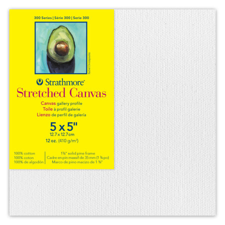 300 Series Gallery Stretched Canvas, 5x5 inch