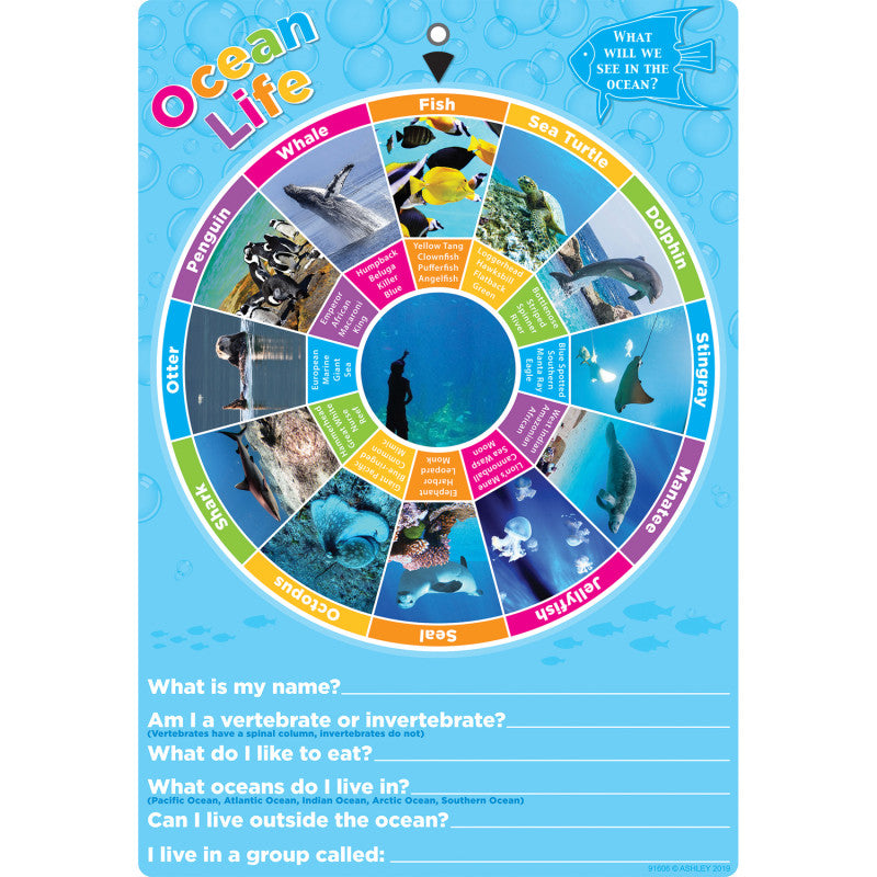 Smart Poly&reg; Smart Wheel&reg;, Ocean Animals