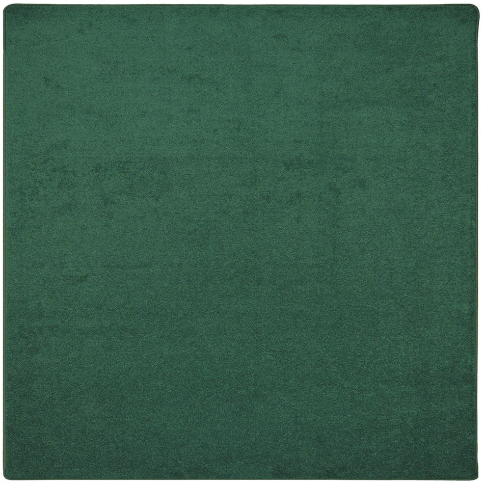 Endurance 12' x 12' area rug in color Forest