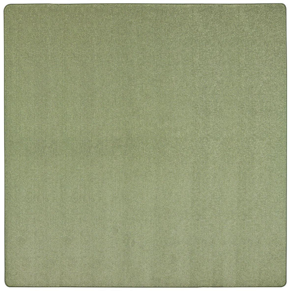 Endurance 6' x 6' area rug in color Sage