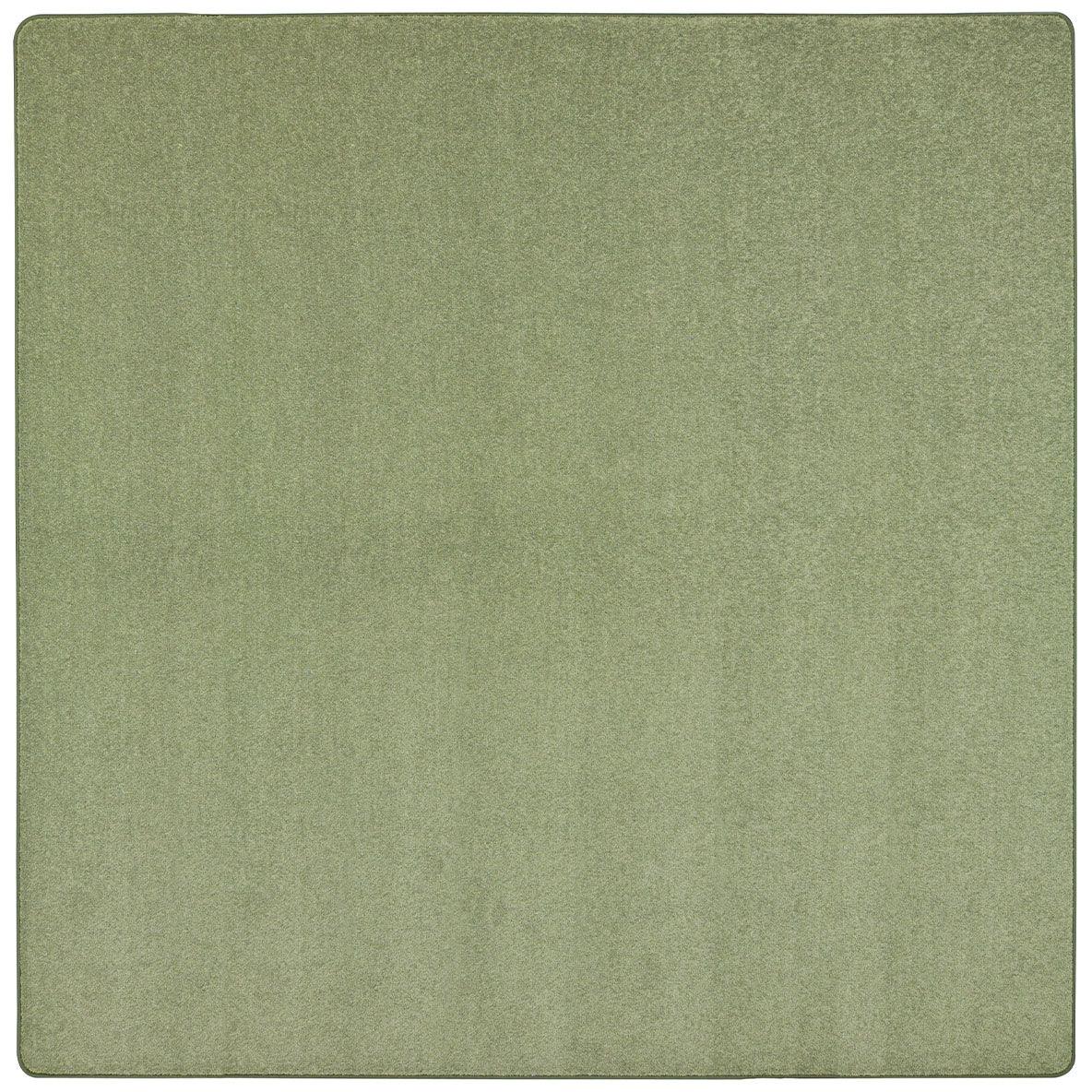 Endurance 12' x 12' area rug in color Sage