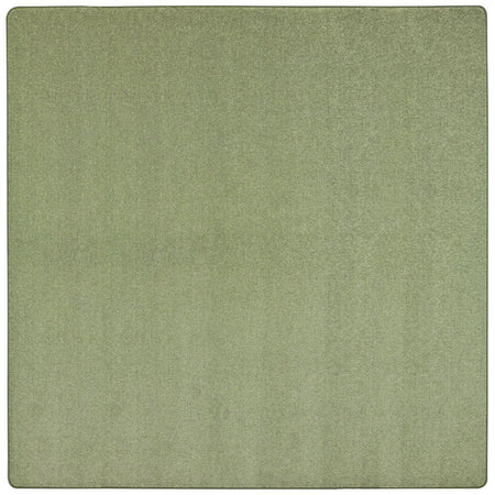Endurance 12' x 12' area rug in color Sage