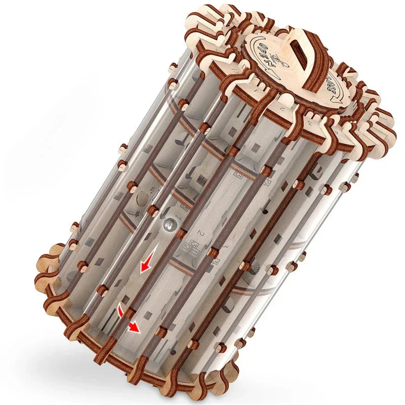 Labyrinth Scroll & Hole 3D Wooden STEM Puzzle