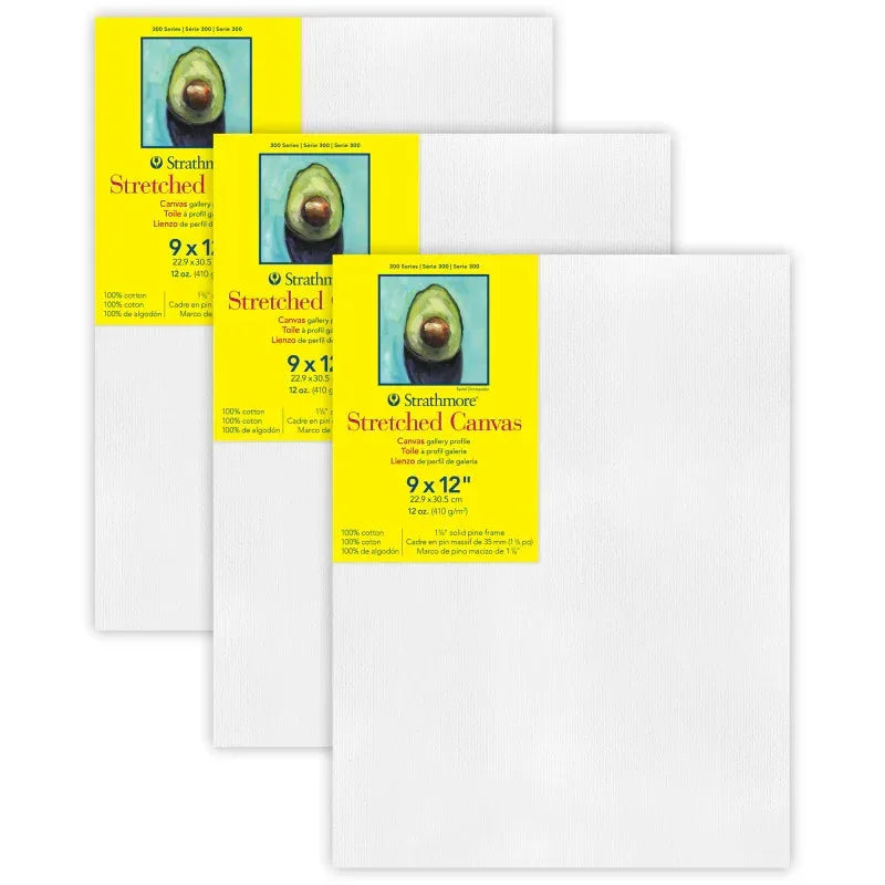 300 Series Gallery Stretched Canvas, 9x12 inch, Pack of 3