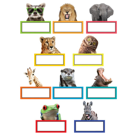 Go Wild Animals Accents, Pack of 30