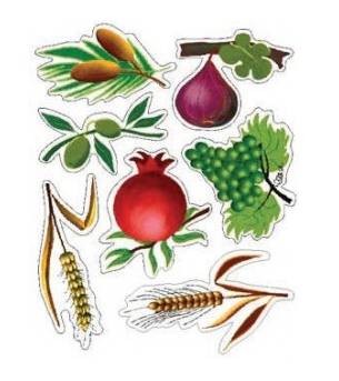 Judaica Shivas Haminim Cutouts