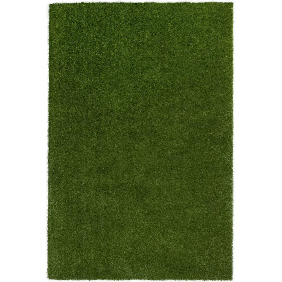 GreenSpace 4' x 6' area rug in color Green