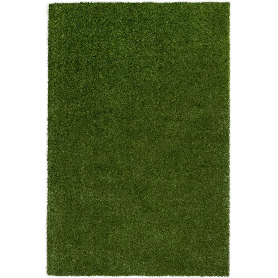 GreenSpace 6' x 9' area rug in color Green