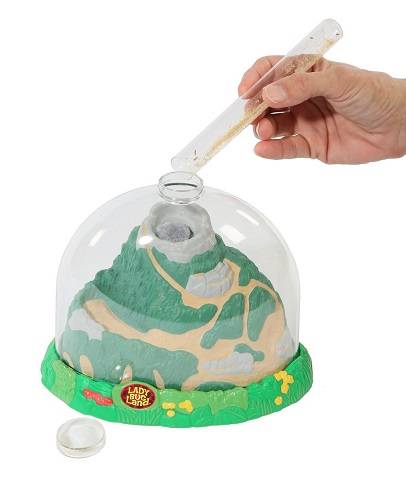 Insect Lore Ladybug Growing Kit