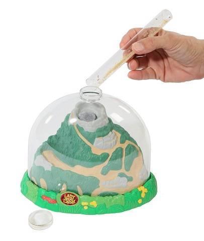 Insect Lore Ladybug Growing Kit