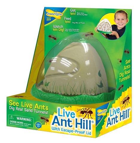 Ant Hill Habitat