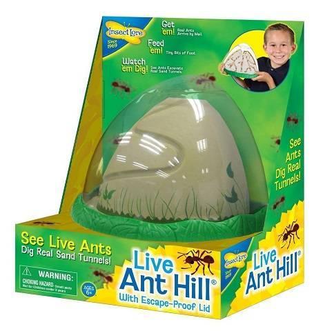 Ant Hill Habitat