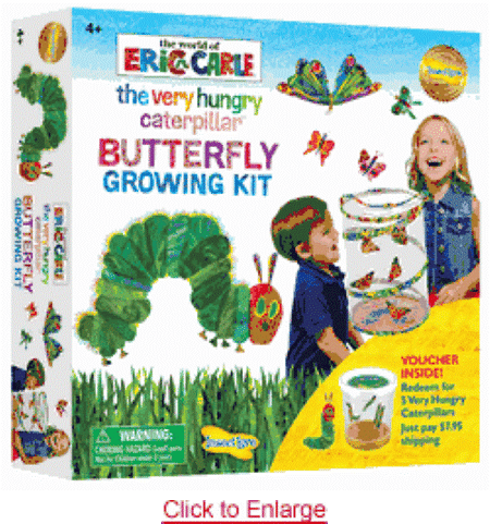 Insect Lore Butterfly Farm