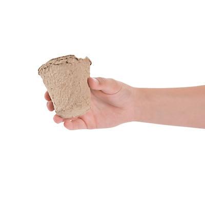 Papier-Mâché Garden Pot Craft Kit - 12 Project Pack