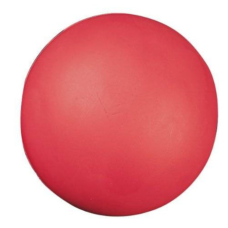 Coated High Density Foam Ball 4"
