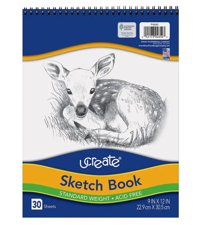 Sketch Book, Standard Weight, 9" x 12", 30 Sheets, (P4850)