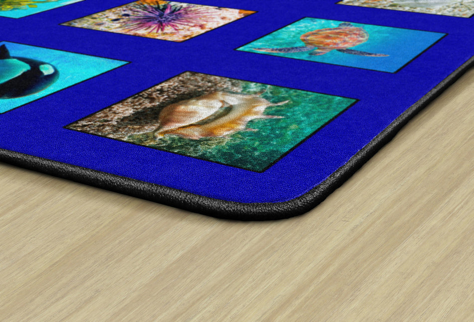 AROUND THE OCEAN RECTANGLE CARPETS 6 X 8'4