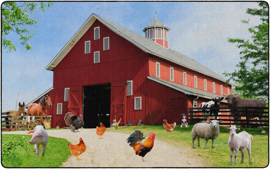 BARN ANIMALS RECTANGLE CARPETS 7'6X12