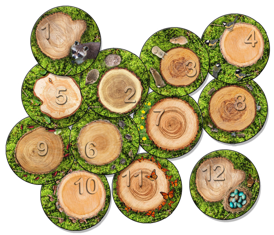 COUNTING SEATING STUMPS 1-12 ROUND CARPETS 16"S/12