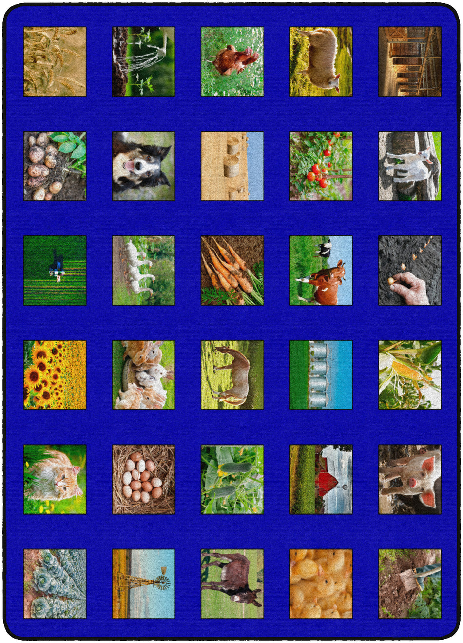 AROUND THE FARM RECTANGLE CARPETS 10' 6" X 13' 2"