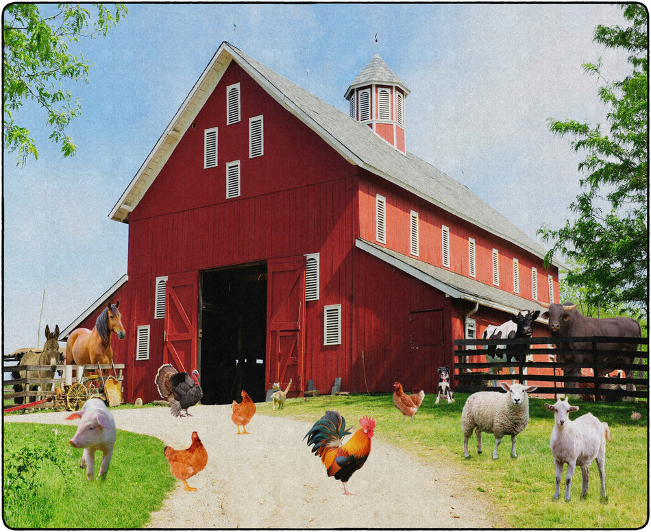 BARN ANIMALS RECTANGLE CARPETS 10'6X13'2
