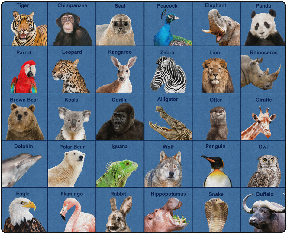 ZOO ANIMAL SEATING RECTANGLE CARPETS 10'6 X 13'2