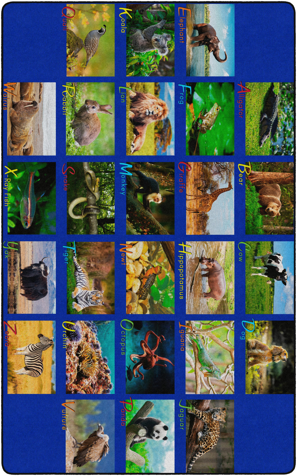 ALPHABET ANIMALS RECTANGLE CARPETS 7'6X12