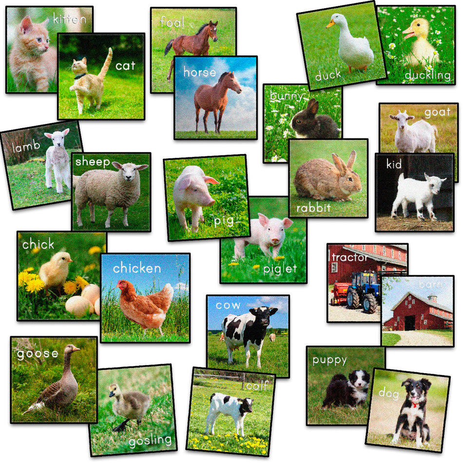 BARN ANIMALS STOW-N-GO™ SET/24 SQUARE CARPETS 16"X16"