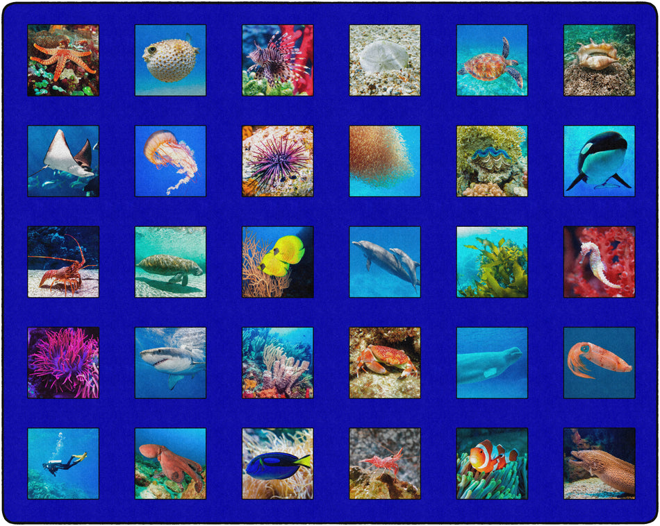 AROUND THE OCEAN RECTANGLE CARPETS 10' 6" X 13' 2"
